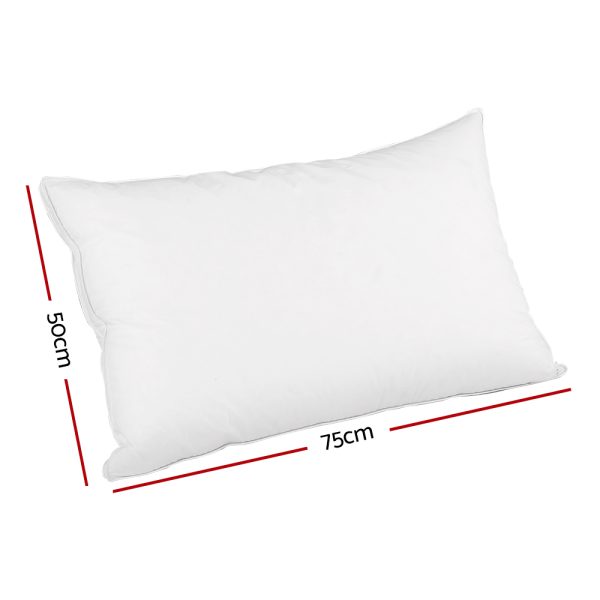 Duck Feather Down Twin Pack Pillow