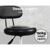 Artiss Salon Stool Swivel Chairs with Back Barber Beauty Hydralic Lift