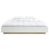 Aiden Industrial Contemporary White Oak Bed Base Bed Frame