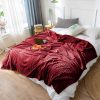 Burgundy Throw Blanket Warm Cozy Striped Pattern Thin Flannel Coverlet Fleece Bed Sofa Comforter