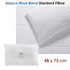 Accessorize Alpaca Wool Blend Standard Pillow 48 x 73cm