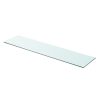 Shelf Panel Glass Clear 90×20 cm