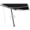 Freestanding Manual Retractable Awning 300×250 cm Anthracite