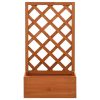 Garden Trellis Planter Orange 50x25x90 cm Solid Firwood