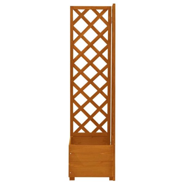 Corner Trellis Planter 40x40x150 cm Solid Firwood