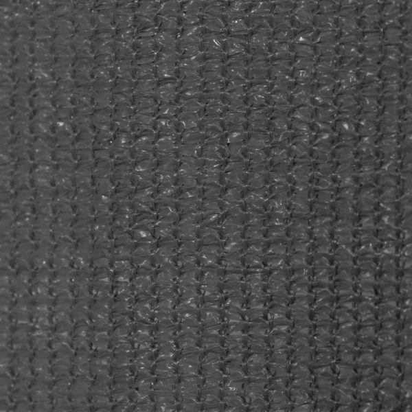 Outdoor Roller Blind 120×230 cm Anthracite