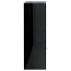 Storage Cabinet 60×29.5×90 cm Engineered Wood – High Gloss Black