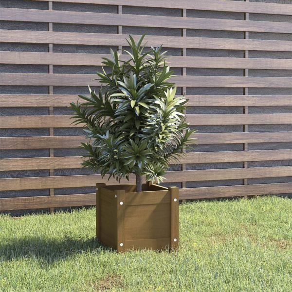 Garden Planter 31x31x31 cm Solid Pinewood