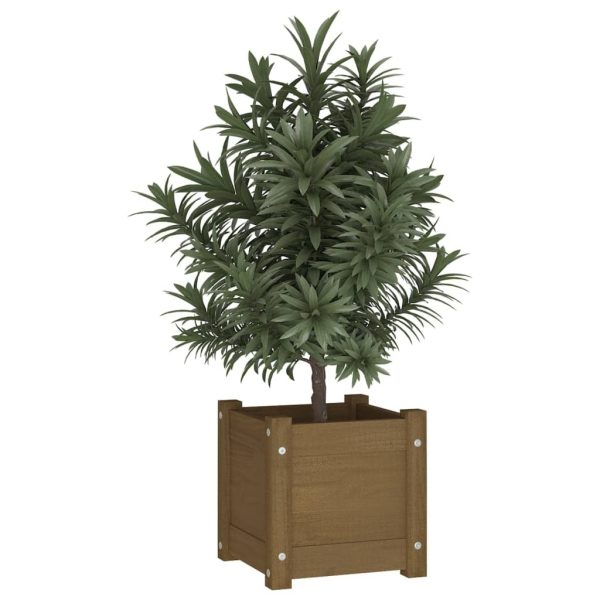 Garden Planter Honey Brown 31x31x31 cm Solid Pinewood