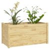 Garden Planter 100x50x50 cm Solid Pinewood