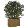 Garden Planter Honey Brown 100x50x70 cm Solid Pinewood