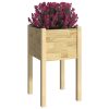 Garden Planter 40x40x70 cm Solid Pinewood