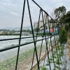 90cm Plant Frame Tube Trellis Vegetable Flower Herbs Outdoor Vine Support Adjustable Garden Rack