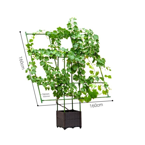 160cm Rectangular Inclined Plant Frame Tube Pergola Trellis Vegetable Flower Herbs Outdoor Vine Support Garden Rack