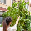 160cm Rectangular Inclined Plant Frame Tube Pergola Trellis Vegetable Flower Herbs Outdoor Vine Support Garden Rack