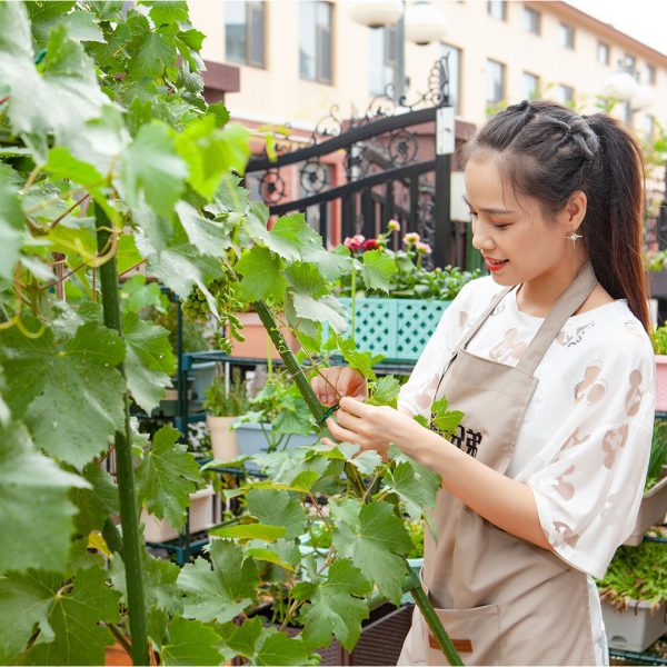 160cm Rectangular Inclined Plant Frame Tube Pergola Trellis Vegetable Flower Herbs Outdoor Vine Support Garden Rack