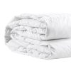 All Season Goose Down Feather Filling Duvet – KING, 500 GSM