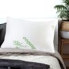 2x Luxury Natural Memory Foam Bed Pillows Bamboo Fabric Cover 70x40cm