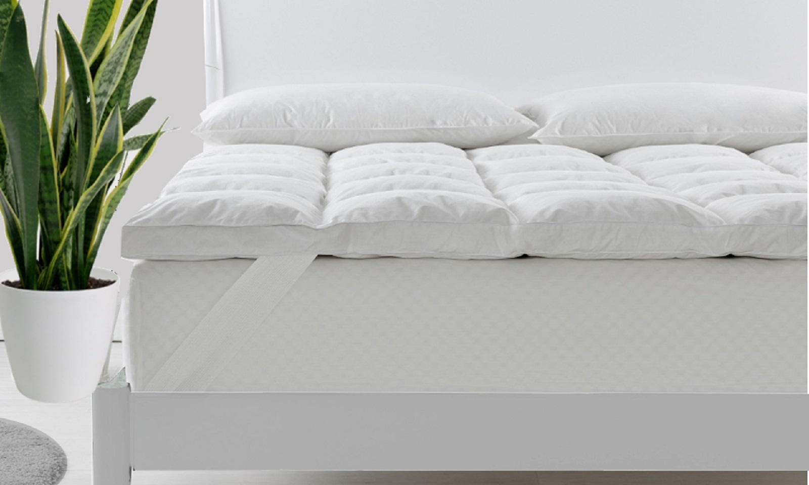 Royal Comfort Duck Feather and Down Mattress Toppers / 1800GSM