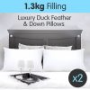 Duck Down Feather Pillow Twin Set – 1.3kg