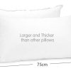 Duck Down Feather Pillow Twin Set – 1.3kg