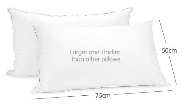 Duck Down Feather Pillow Twin Set – 1.3kg