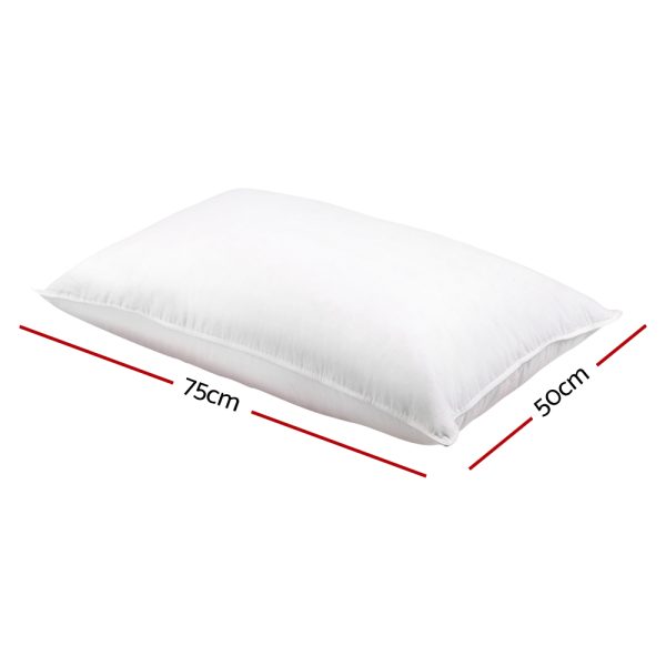 Bedding Goose Feather Down Twin Pack Pillow