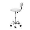 Salon Stool Swivel Chair Backrest Barber Hairdressing Hydraulic Height