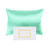 Royal Comfort Mulberry Soft Silk Hypoallergenic Pillowcase Twin Pack 51 x 76cm – Mint