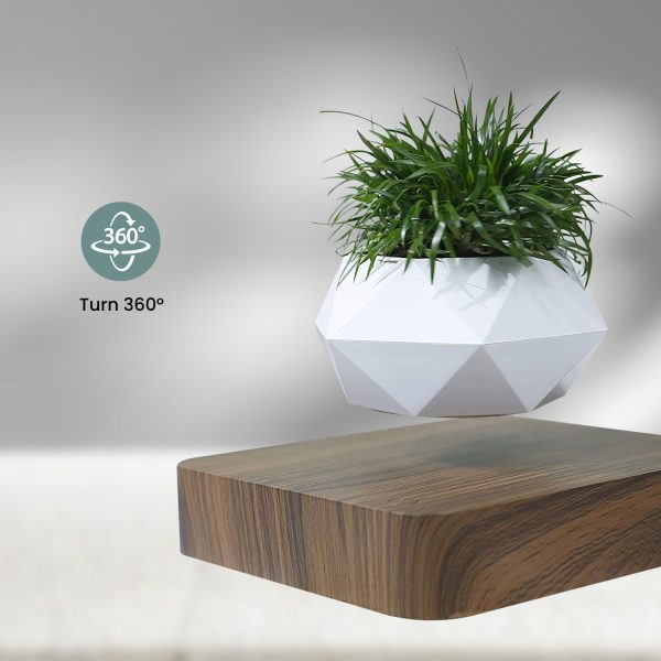 GOMINIMO Magnetic Levitating Plant Pot