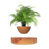 GOMINIMO Magnetic Levitating Plant Pot Oak GO-MLP-108-HCNT