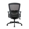 Daisey Mesh Seat Task Chair