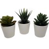 3 Pack of Artificial Succulent Potted Plants in White Plastic 6cm Pot Interior Decoration