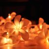 1 Set of 20 LED Orange Frangipani Flower Battery String Lights Christmas Gift Home Wedding Party Decoration Outdoor Table Garland Wreath