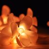 1 Set of 20 LED Orange Frangipani Flower Battery String Lights Christmas Gift Home Wedding Party Decoration Outdoor Table Garland Wreath