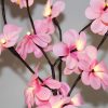 1 Set of 50cm H 20 LED Pink Frangipani Tree Branch Stem Fairy Light Wedding Event Party Function Table Vase Centrepiece Decoration Girl Bedroom