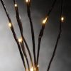 LED Light Bunch Stem – Warm White BATTERY fairy lights – 50cm high 20 bulbs/petals