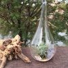 4 Pack of Hanging Clear Glass Tealight Candle Holder Tear Drop Pear Hour Glass Shape – 20cm High Terrarium Plant Mini Garden Holder Decoration Craft G