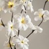 1 Set of 50cm H 20 LED White Frangipani Tree Branch Stem Fairy Light Wedding Event Party Function Table Vase Centrepiece Decoration