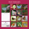 Butterflies 2024 Square Wall Calendar Natural Animals 16 Months Premium Planner