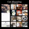 Cat Shaming – 2024 Square Wall Calendar Pets Animals 16 Months Premium Planner