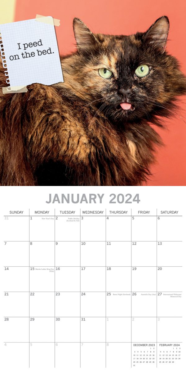 Cat Shaming – 2024 Square Wall Calendar Pets Animals 16 Months Premium Planner