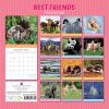 Best Friends – 2024 Square Wall Calendar Pets Animals 16 Months Premium Planner