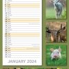 Baby Animals – 2024 Slimline Slim Wall Calendar Hanging Planner New Year Gift