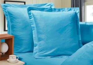 1000TC Premium Ultra Soft European Pillowcases 2-Pack – Light Blue