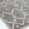 delicate-cassiday-grey-ivory-rug 160×230