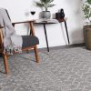 delicate-cassiday-grey-ivory-rug 160×230