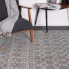 delicate-cassiday-grey-ivory-rug 200×290